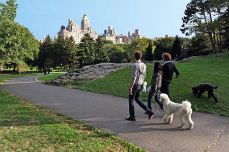 New Yorkers walks their dogs in Central Park Manhattan New York, USA.のeditorial素材