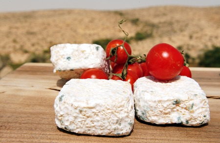 Goat cheese  with cherry tomatoes on display in the desert landscape.の写真素材