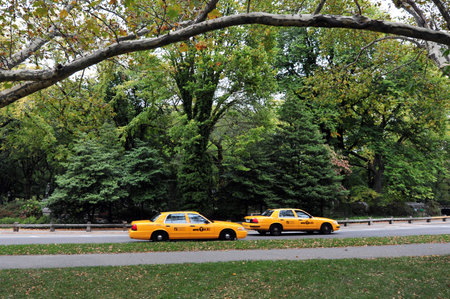 Two yellow taxi cabs drive trough Central Park Manhattan New York, USA.のeditorial素材