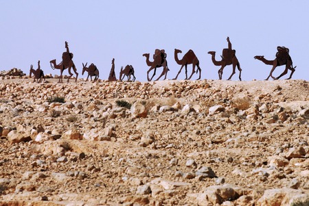 Camel statues in the Negev desert, En Avdat National Park, Israelの写真素材