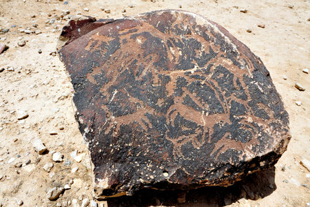 Mitzpe Revivim Museum. The museum tells the history of Jewish settlements in Negev from 1943 till 1948. The story of pioneers life in desert and their efforts in developing agriculture in severe climate. Everyday struggle to survive. Negev desert, Israel.のeditorial素材