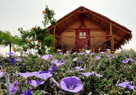 Desert lodges in the Negev desert , Israel.のeditorial素材
