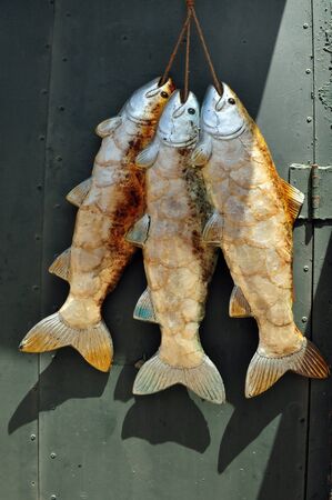 Symbol of Fortune Good Luck and Christmas Ornament Three golden fish hang on a door.