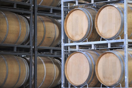 Wine barrels in vineyard cellar