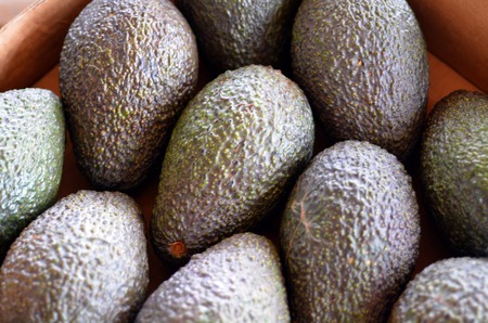 Fresh green Avocado fruits in food market. Food background and textureの写真素材
