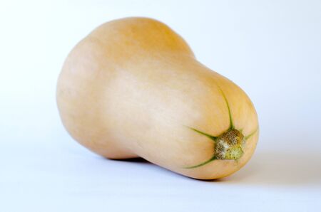 Butternut squash isolated on a white background.の写真素材