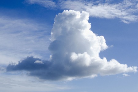 A sheep cloud (Cumulus mediocris) in the sky.  in the sky.