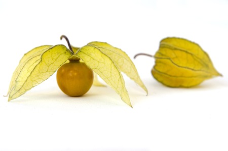 Groundcherries isolated on a white background.の写真素材