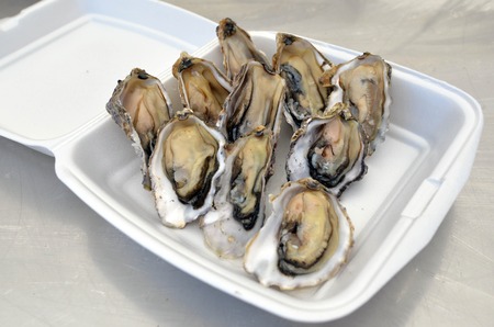Fresh Oysters in a plastic box on display in a seafood market.