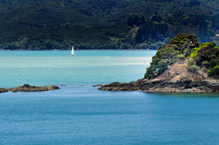 White yacht sail over the blue water of Doubtless Bay, New Zealand.の写真素材