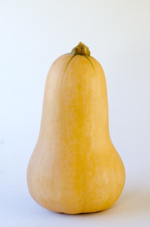 Butternut squash isolated on a white background.の写真素材