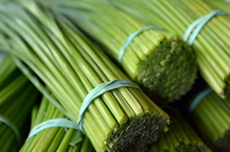 Asia Lemongrass bunch in Chinatown market. Food background texture.の写真素材