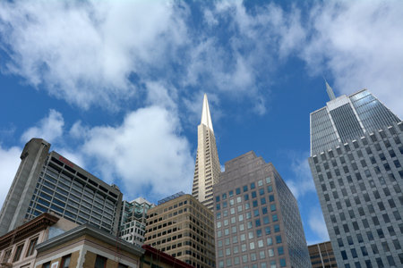 SAN FRANCISCO - MAY 21 2015:Transamerica Pyramid in San Francisco downtown.Since 9/11 attacks for security reasons, the general public is only allowed on the ground lobby.のeditorial素材
