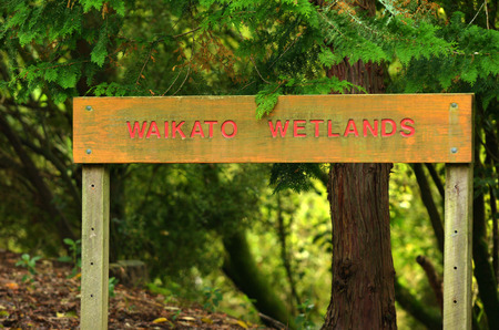 Waikato wetlands sign in  Waikato region on the wet coast of the North Island of New Zealandの写真素材