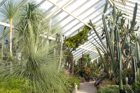 HAMILTON, NZL - MAY 29 2015:Hamilton Victorian Flower Garden interior.Hamilton Gardens won the Garden of the Year award at the International Garden Tourism Awards in 2014.のeditorial素材