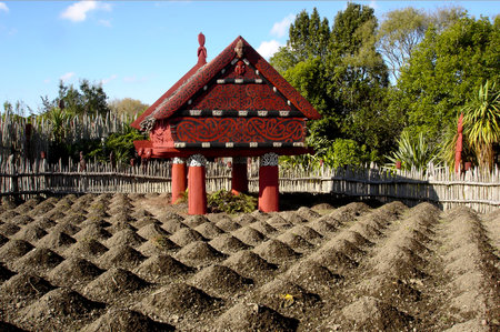 HAMILTON, NZL - MAY 30 2015: Te Parapara Maori garden in Hamilton Gardens, New Zealand.It's New Zealand's only traditional Maori productive garden, showcases traditional Maori cultivation knowledgeのeditorial素材