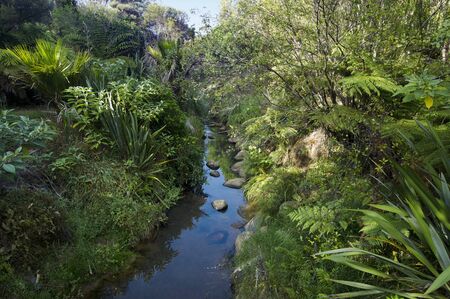 Fresh water stream in the nature.