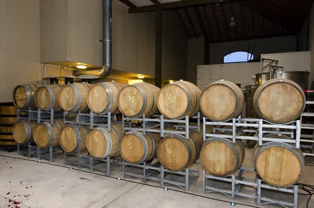 Wine wooden barrels in a winery
