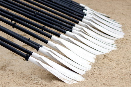 A row of a Canoe and Kayak Paddlesの写真素材