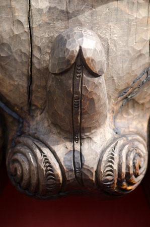 A wood carved figure of the male reproductive systemの写真素材