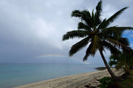 Coconut palm trees and rainbow at Titikaveka beach in Rarotonga Cook Islands.の写真素材