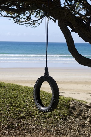An old tire swing hanged on a tree by the beach near the sea.の写真素材