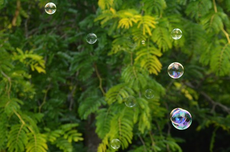 Bubbles floating in the air.