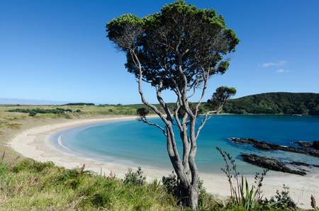 Landscape view of Matai Bay coastline in Karikari peninsula of Northland New Zealand.の写真素材