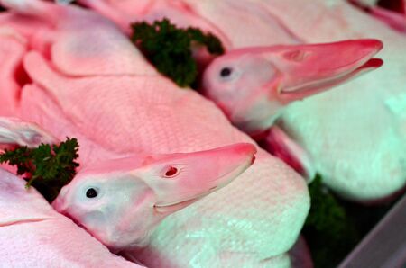Pot stewed duck on display in the market.の写真素材