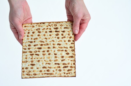 Jewish woman hands holds leavened bread, matza on white background with copy spaceの写真素材