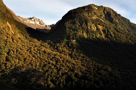 Landscape view of Fiordland National Park, southern Island, New Zealand.の写真素材