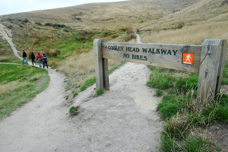 Godley Head Summit, Taylors Mistake, Godley Head Walkway, Christchurch, New Zealand.のeditorial素材
