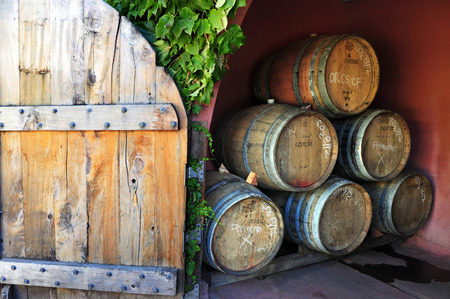 Wine barrels in a vineyard on Waiheke Island, New Zealand.