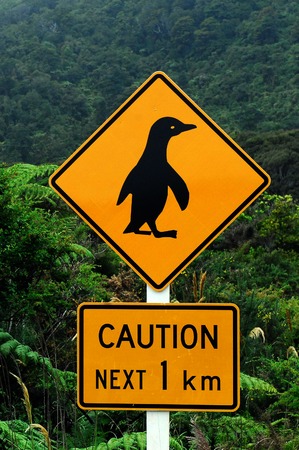 Caution Penguins road sign next 1 km and native bust on southern West Coast of New Zealand.の写真素材
