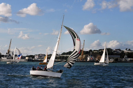 Yachts sail in Auckland harbor, New Zealand.