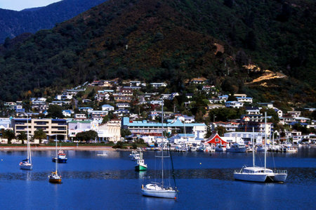 Picton at head of sound, New Zealand scenics.のeditorial素材