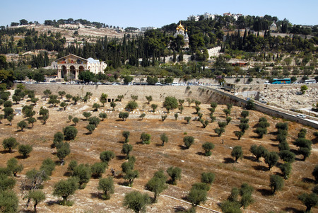 Gethsemane Church and St. Mary Magdalene Church in Mount of Olives in Jerusalem, Israel.の写真素材