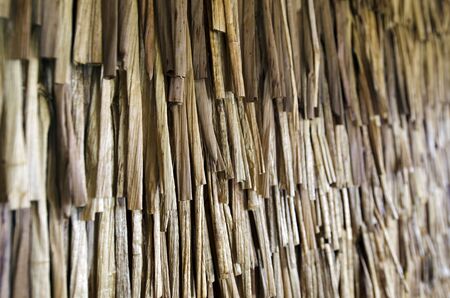 Texture use for maori piupiu skirt, made form flax that has been roll and dry.の写真素材