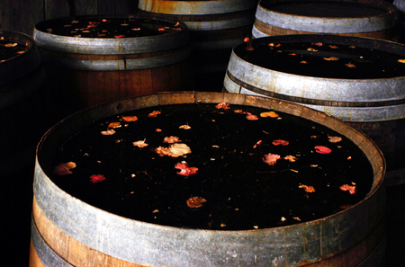 Old oak wine barrels in vineyard.