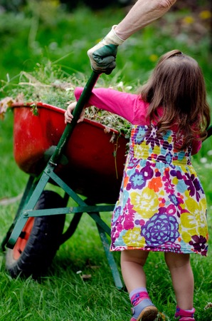 Little girl helps here grandmother to carry a wheelbarrow in a garden.の写真素材