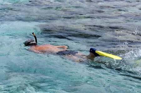Man snorkeling in Aitutaki Lagoon, Cook Islandsの写真素材