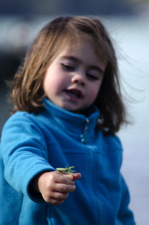 Little girl holds a Praying Mantis on her hand.の写真素材