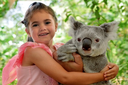 Little girl (age 05) hugs Koala in Queensland, Australia.の写真素材