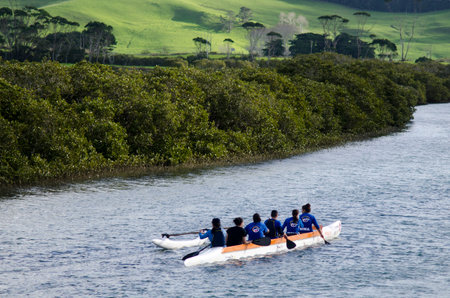 TAIPA,NZ - MAY 18:Crew of a racing outrigger canoe training on May 18 2013.It become a very popular paddling sport with numerous sporting clubs located around the world.のeditorial素材