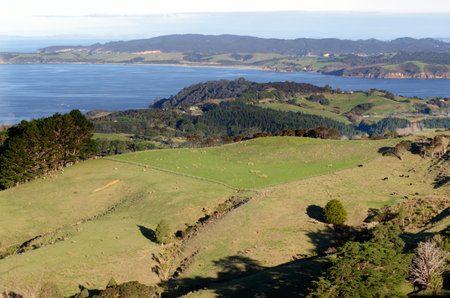 Aerial view of Omaha Bay Matakana, New Zealand