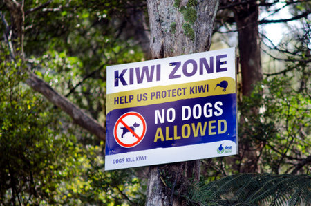 WHANGAROA, NZ - JUNE 08:Kiwi zone sign in a rainforest on June 08 2013.Dogs are one of the biggest threat to the survival of Kiwi, only 5% of all Kiwis hatched in the wild survive to adulthood.のeditorial素材