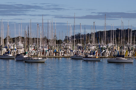 AUCKLAND, NZ - JUNE 02:Boats mooring in Westhaven Marina on June 02 2013.It's owned by Auckland Council, as successor to the Auckland City Council, which bought it from Ports of Auckland in 2004 for NZ 46 million.のeditorial素材