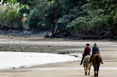 HIHII BEACH, NZ - SEP 01: Two women ride horses on Hihi beach on September 01 2013. It's a famous travel destination in northland New Zealand.のeditorial素材