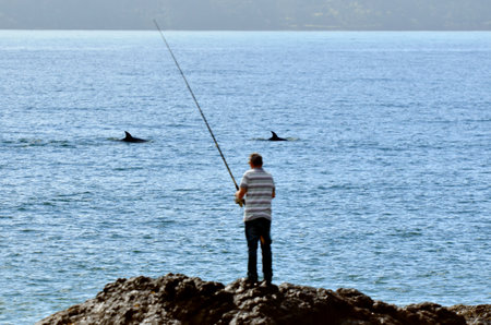 CABLE BAY,NZ- AUG 22:Mature man fishing from a rock on Aug 22 2013.New Zealand exclusive economic zone covers 4.1 million square kilometers and It's the sixth largest zone in the world.のeditorial素材