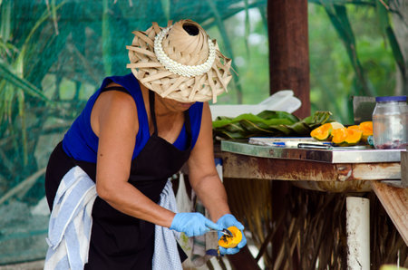 RAROTONGA - SEP 17:Cook Islander woman prepare Papaya on Sep 17 2013.Papaya was reputably called the "fruit of the angels" by Christopher Columbus for it's sweet and softness..のeditorial素材